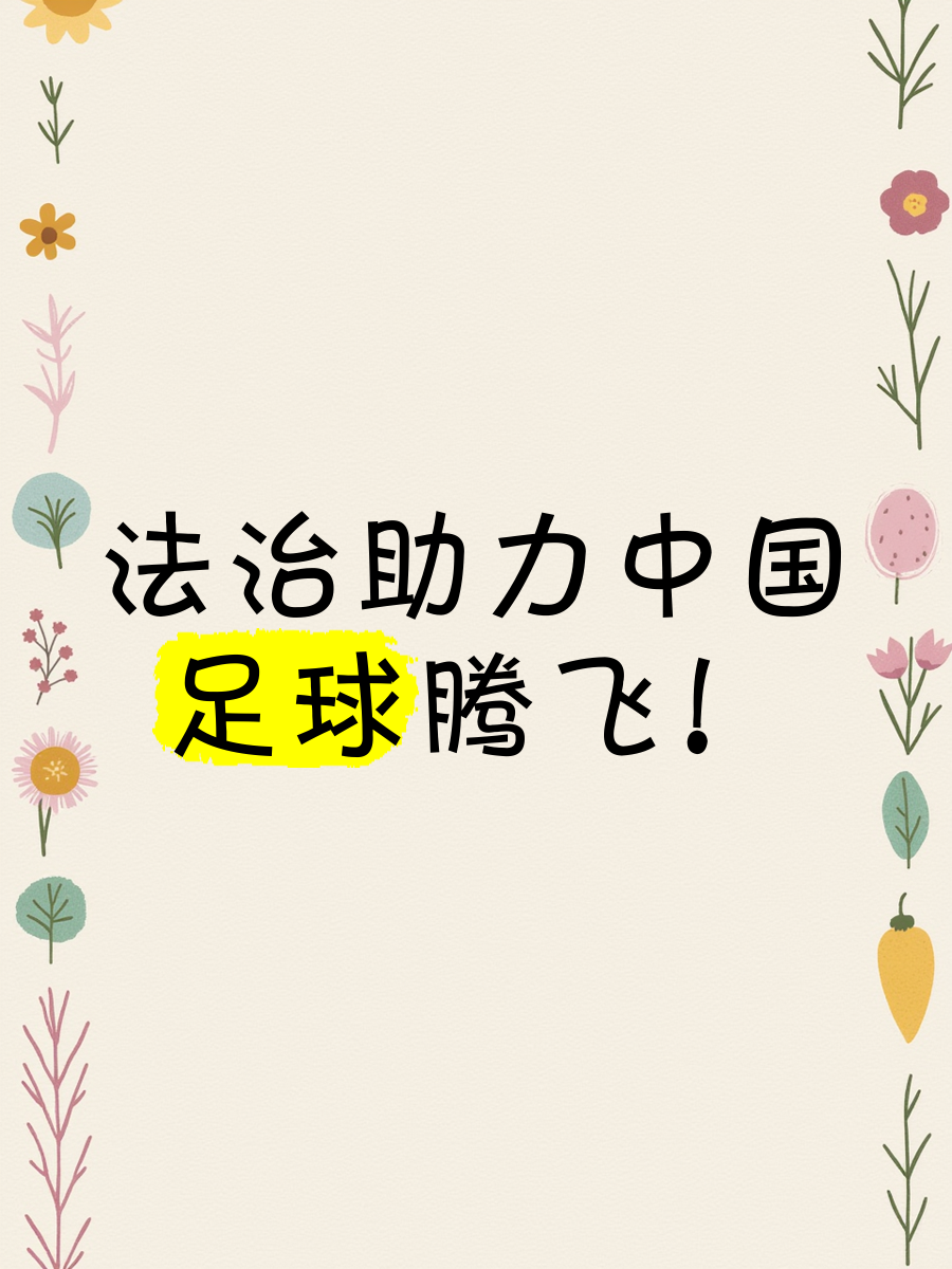 乐鱼体育-改革新思路：打破传统，创新中国足球的简单介绍