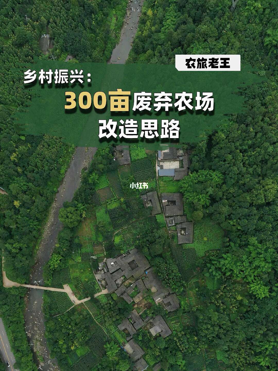 乐鱼体育官方网站最新登录入口-包含特色乡村篮球场建设逐步推广，推动乡村振兴战略的词条