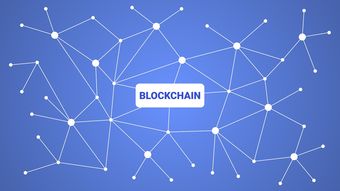 乐鱼体育入口-英超青训采用虚拟现实技术强化战术理解与应变能力，英超试训
