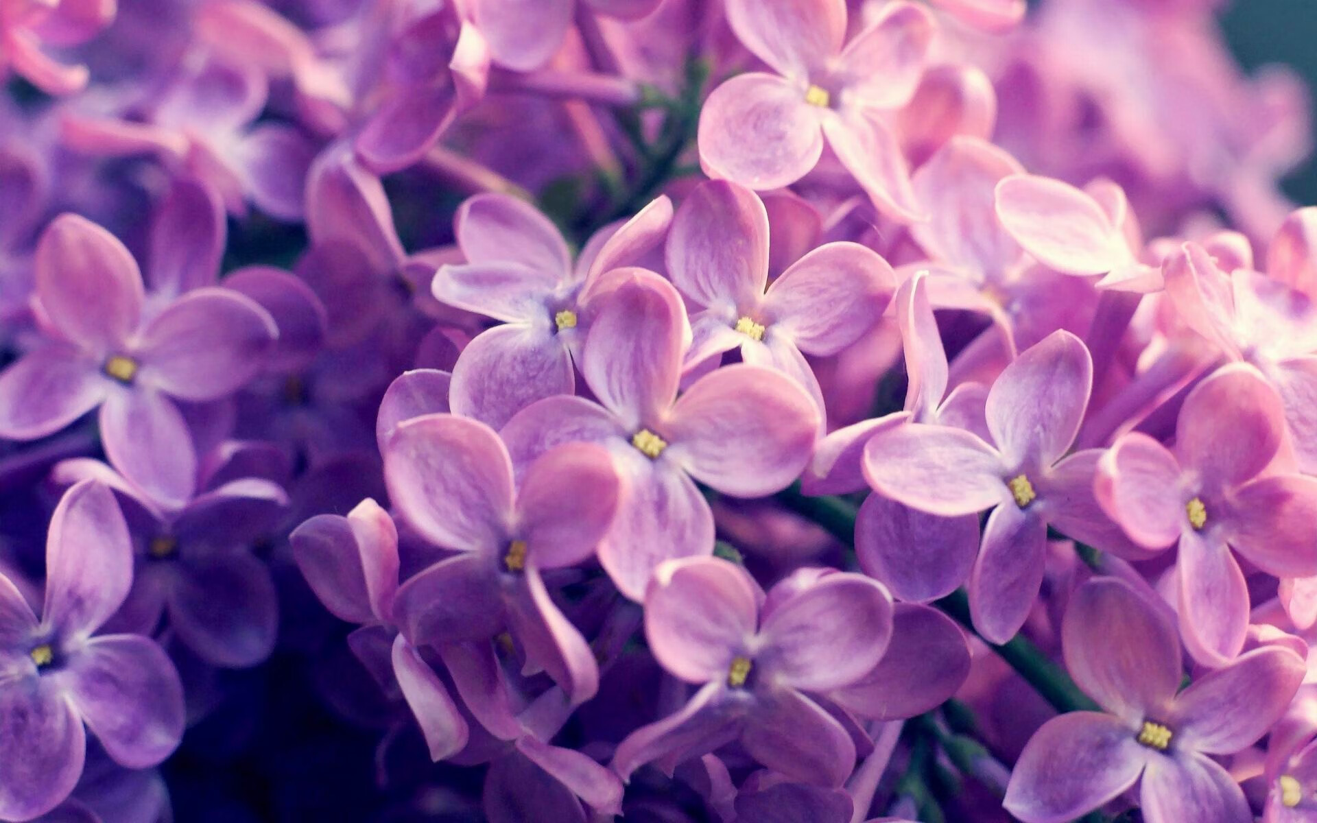 乐鱼体育登入-观众自发组织看球团体增强城市间体育文化联结