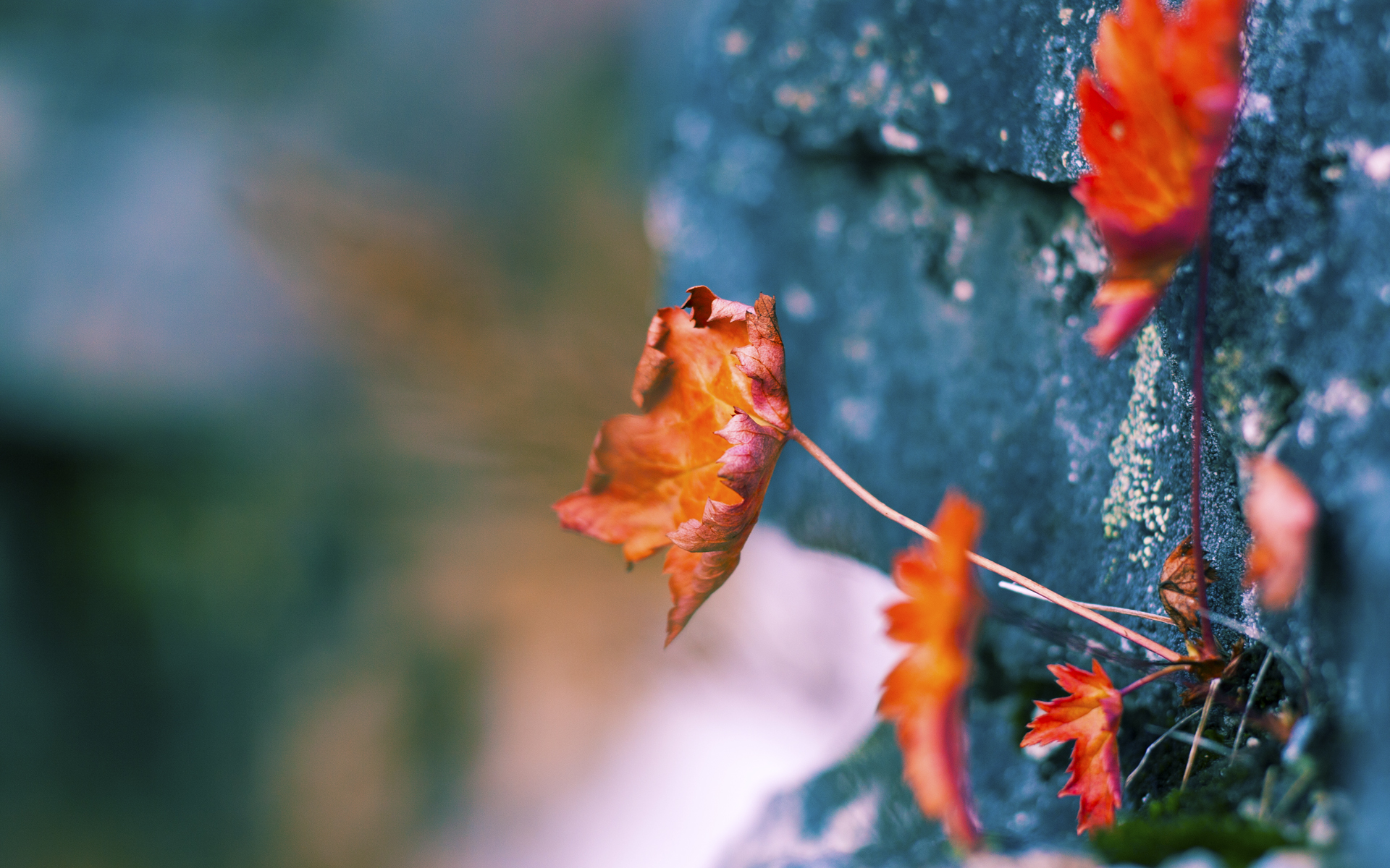 乐鱼体育买球-足球转会市场火热，巨星频繁换东家，足球转会官宣