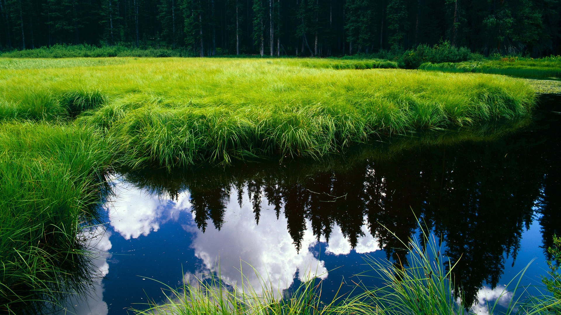 骑士重点研究挡拆战术变化应对联盟趋势，骑士格挡伤害是什么意思